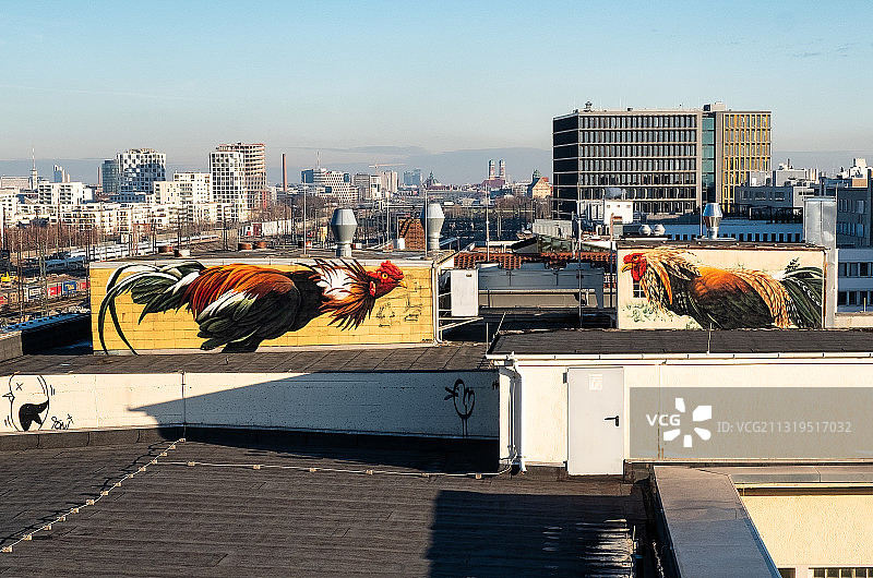慕尼黑屋顶上的街头艺术，描绘了两只公鸡，德国巴伐利亚慕尼黑图片素材
