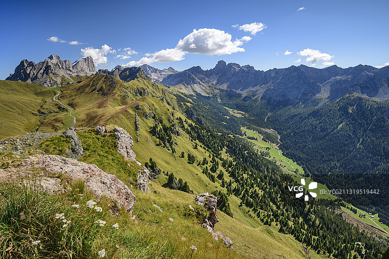 意大利南蒂罗尔多洛米蒂山脉Marmolada山群前的山地草甸图片素材
