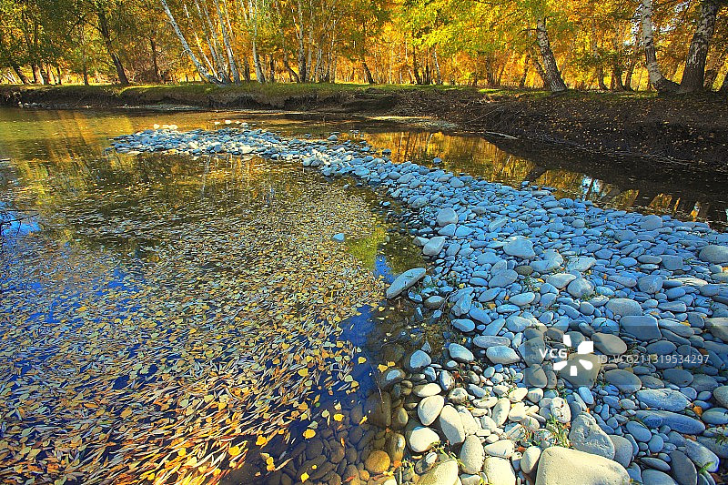哈巴河之秋——布尔津县图片素材