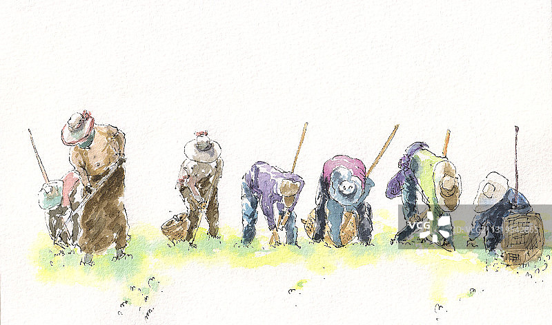 种地的藏民图片素材