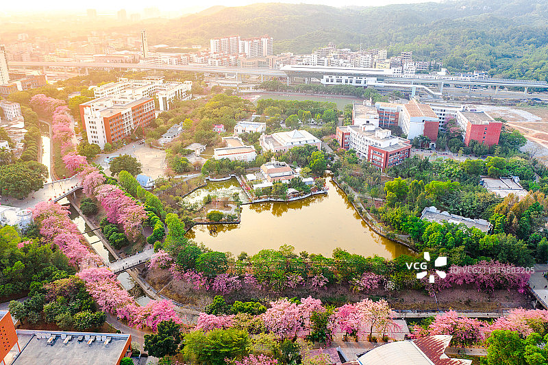 广东省广州市从化区华软丝木棉广场图片素材