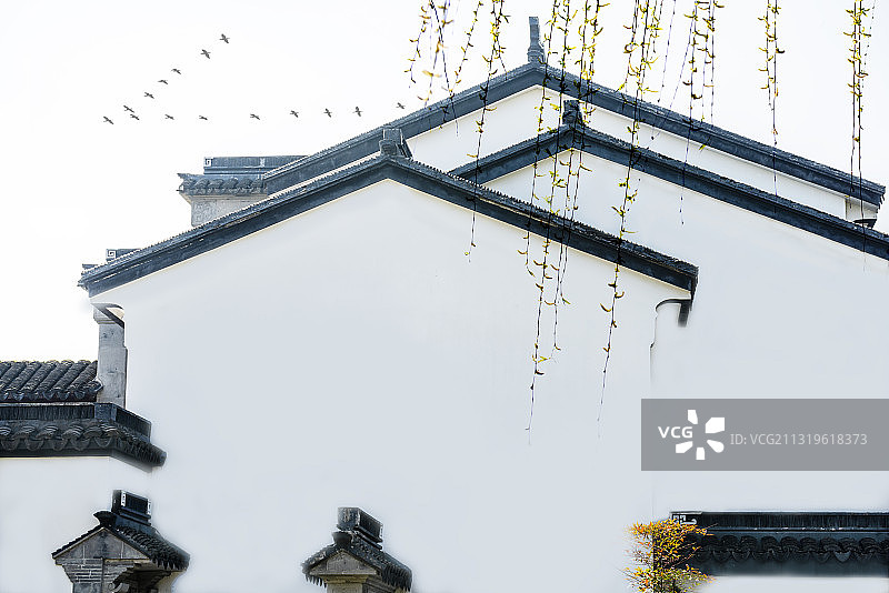 姑苏杨柳醉春烟图片素材