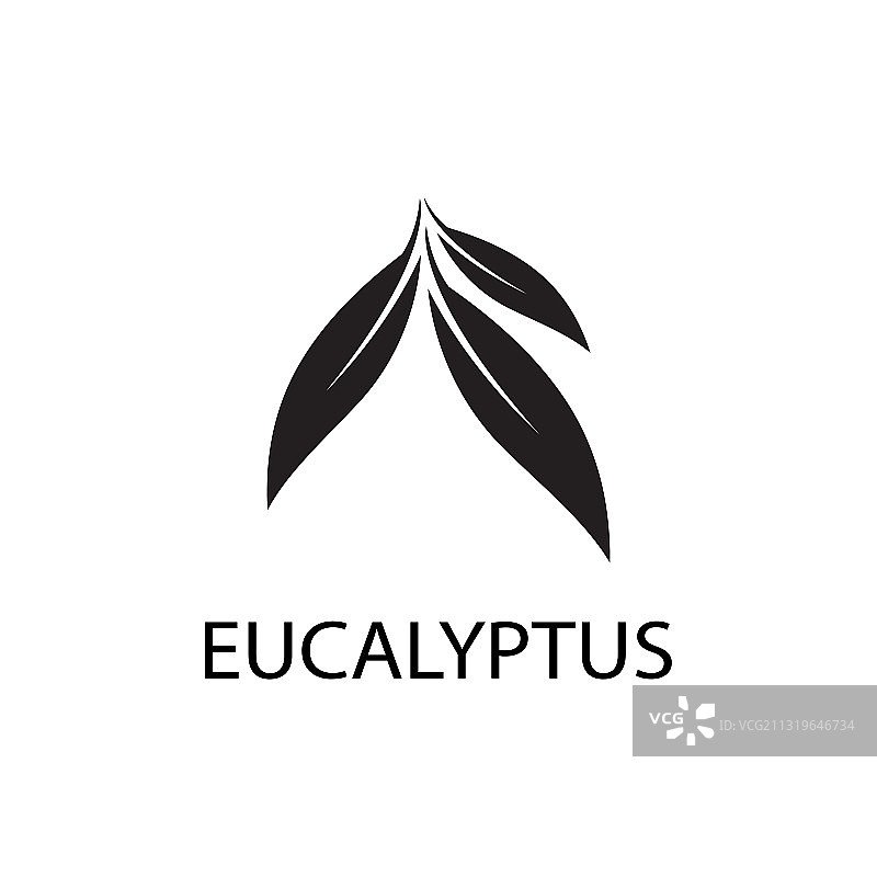 桉树叶标志模板设计图片素材