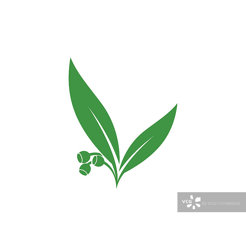 桉树叶标志模板设计图片素材