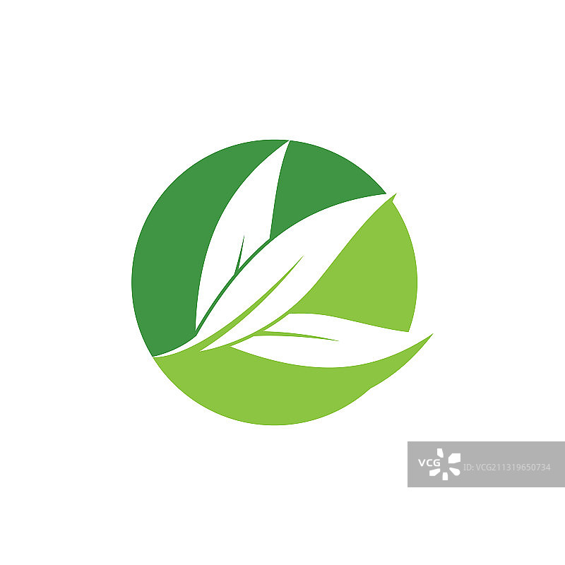 桉树叶标志模板设计图片素材