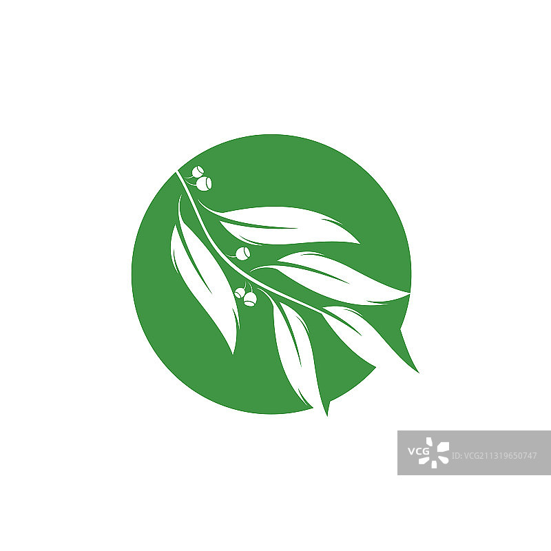 桉树叶标志模板设计图片素材