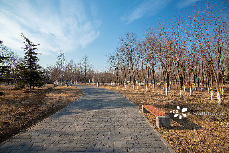 海子公园-散步道图片素材