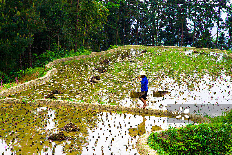 湖南省娄底市新化县水车镇紫鹊界梯田风光图片素材