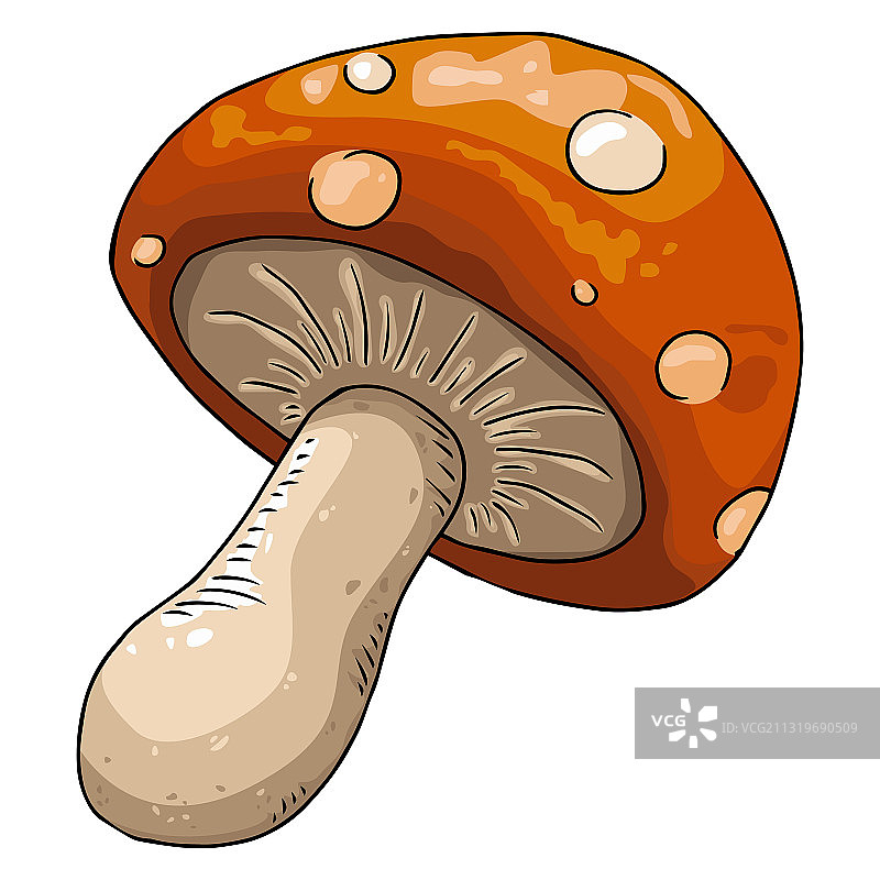 蘑菇手绘蘑菇图标图片素材