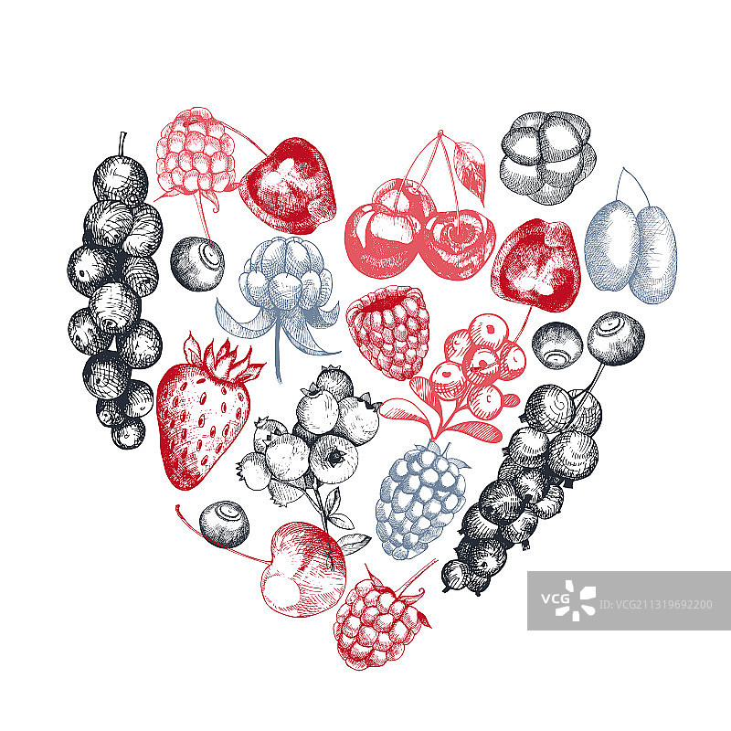 浆果拼盘图片素材