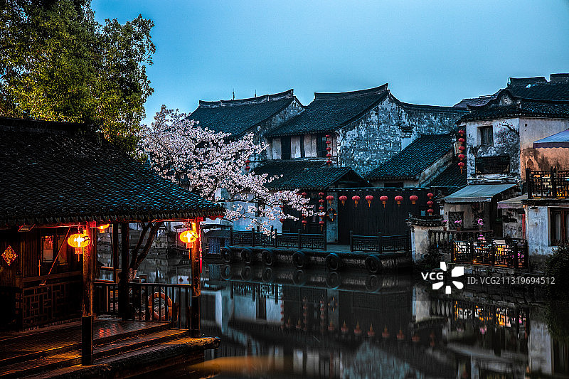 西塘古镇樱花图片素材