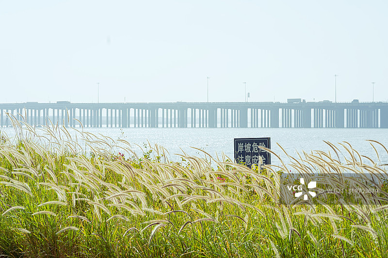深圳西湾湿地公园图片素材