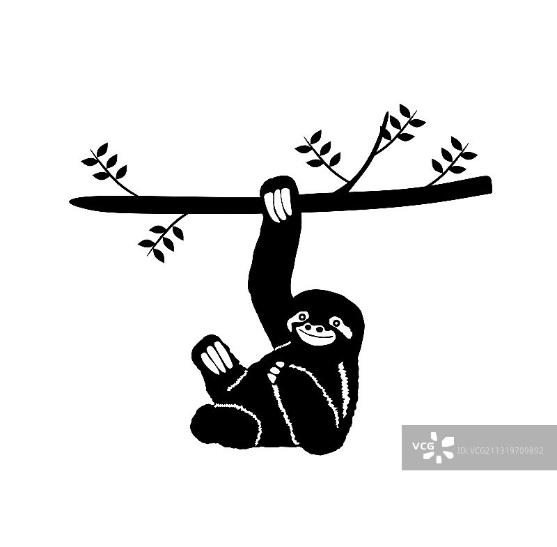 树枝上的树懒剪影图片素材