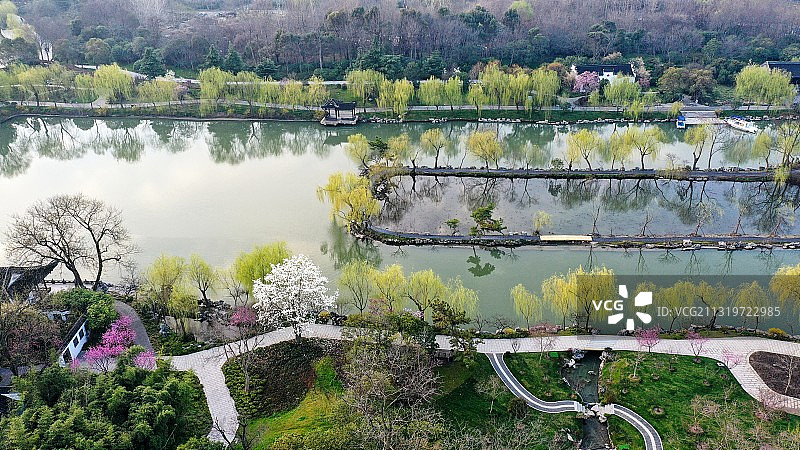 柳条吐翠春光美，早春瘦西湖图片素材