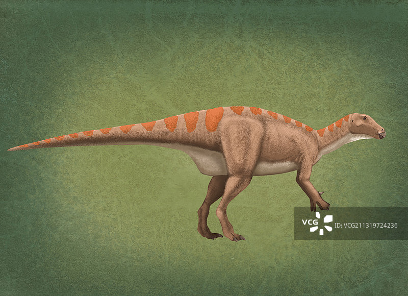 禽龙恐龙插画图片素材