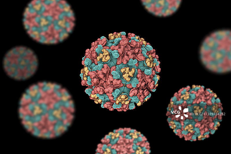 东部马脑炎病毒，艺术品图片素材