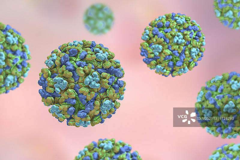 东部马脑炎病毒，艺术品图片素材