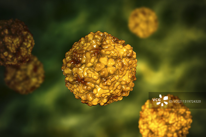 肠道病毒艺术作品图片素材