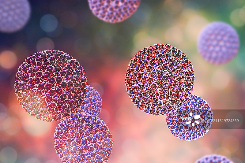 轮状病毒颗粒艺术图图片素材