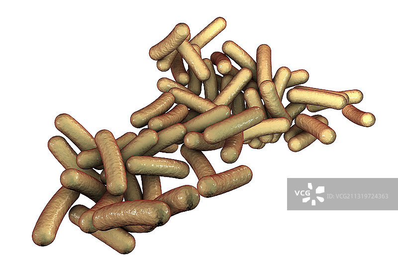 志贺氏菌细菌艺术作品图片素材