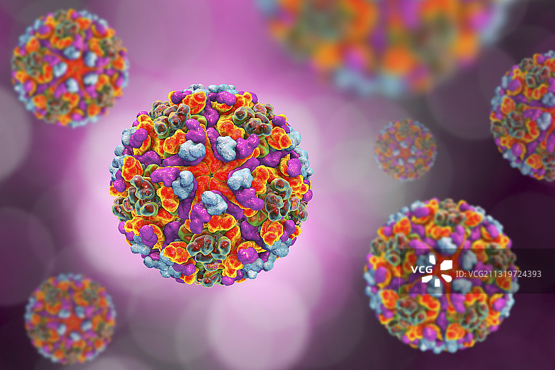 西 equine 脑炎病毒图片素材