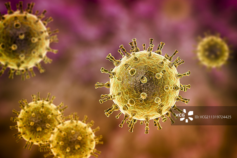 水痘病毒，带状疱疹病毒插图图片素材