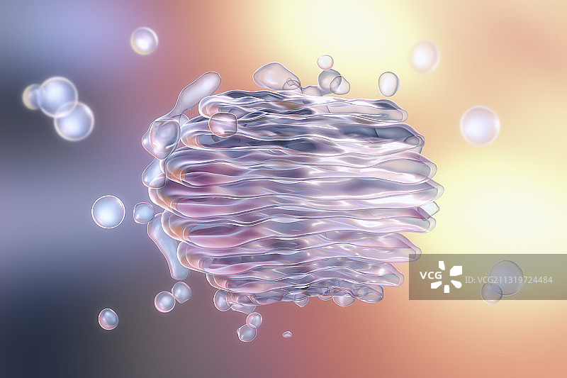 高尔基体，图示图片素材