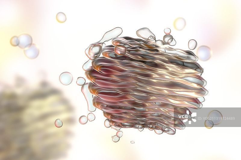 高尔基体，图示图片素材