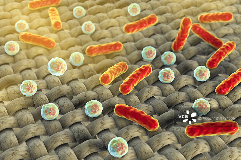 织物上的细菌，脏布，插图图片素材