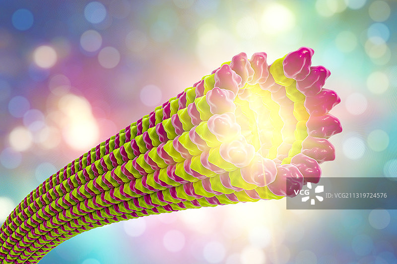 微管插画图片素材