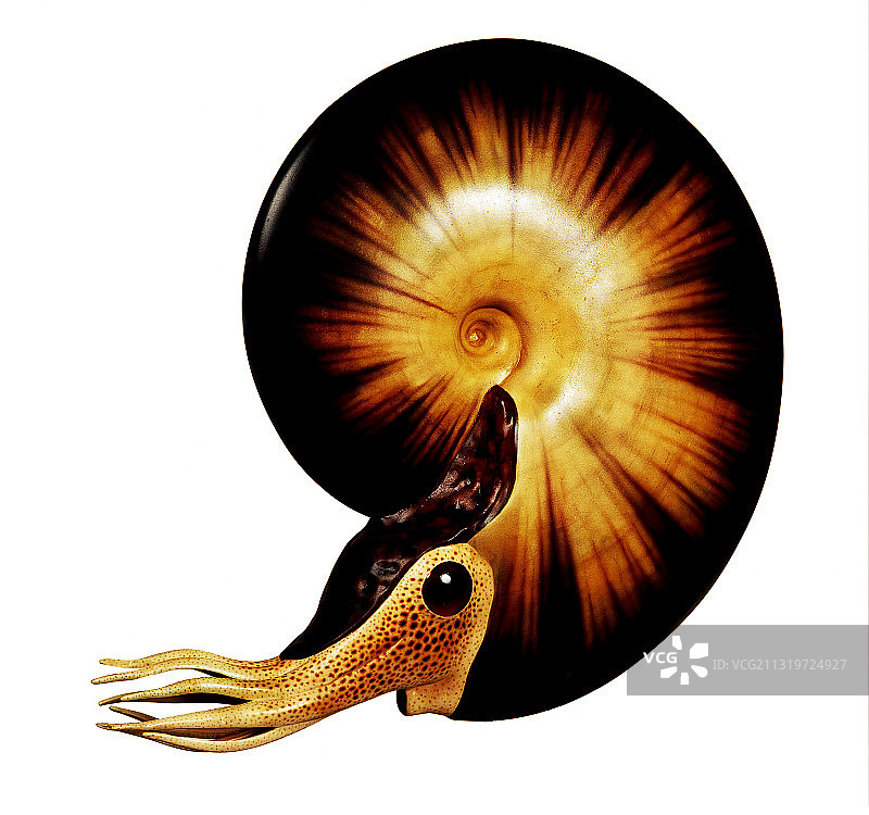 亚扪人图片素材