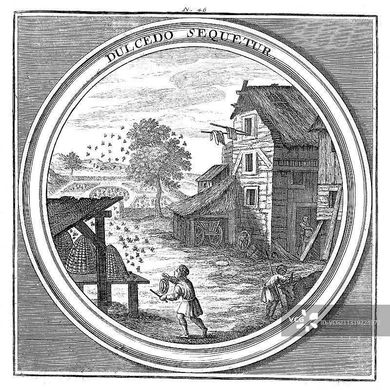 气象学、养蜂学，1709年图片素材