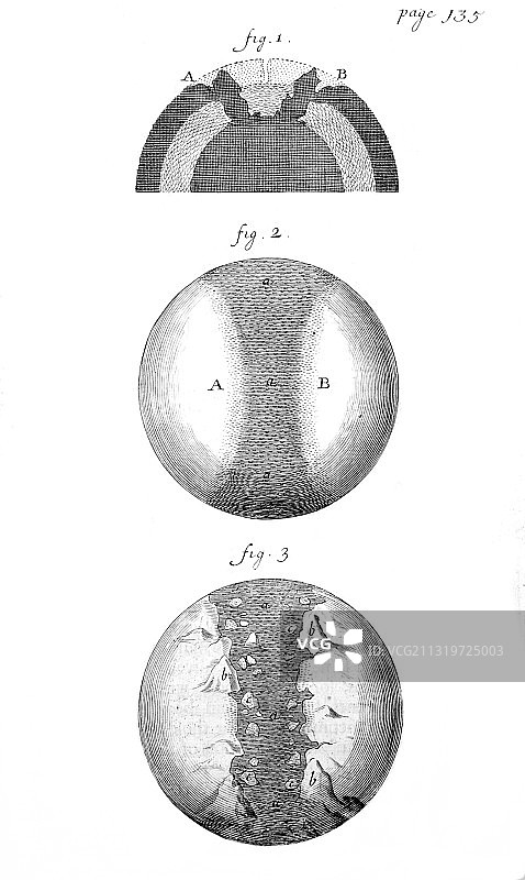 托马斯·伯内特，《大陆漂移》，1684年图片素材