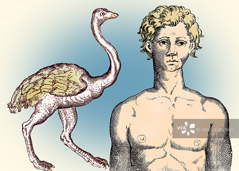 詹巴蒂斯塔·德拉·波尔塔，面相学，1586年图片素材