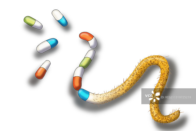 抗生素耐药菌插图图片素材