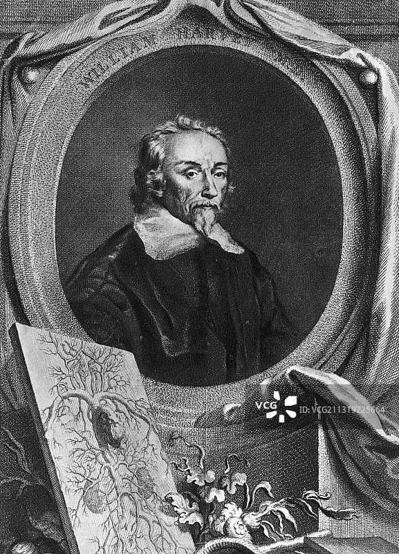 威廉·哈维，英国医生图片素材