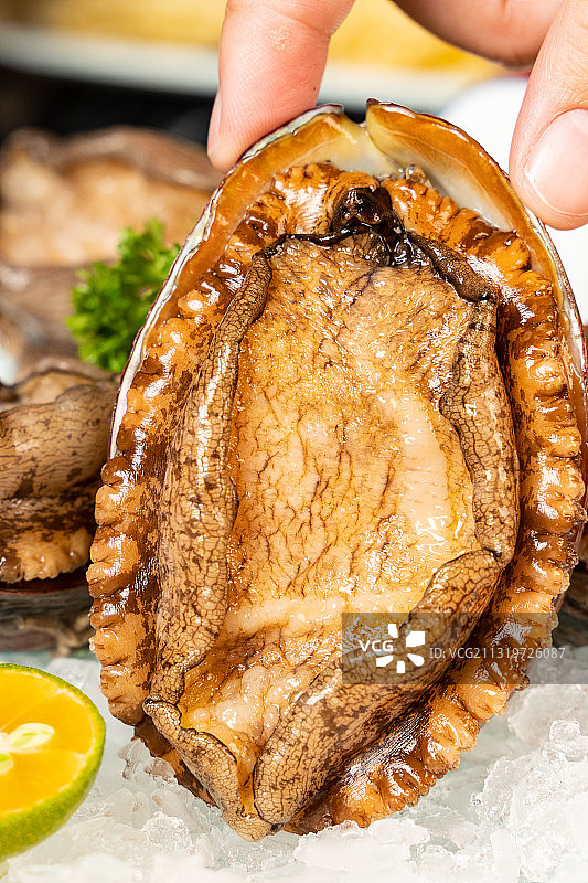 生鲜大鲍鱼图片素材