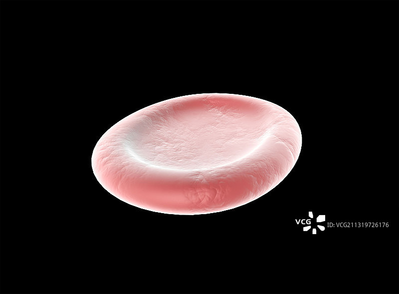 等渗溶液中的红细胞插图图片素材