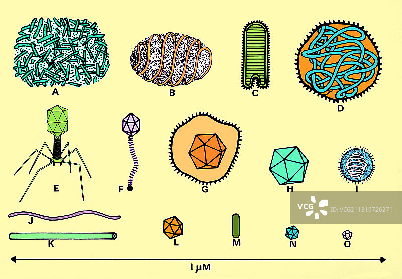病毒颗粒图片素材
