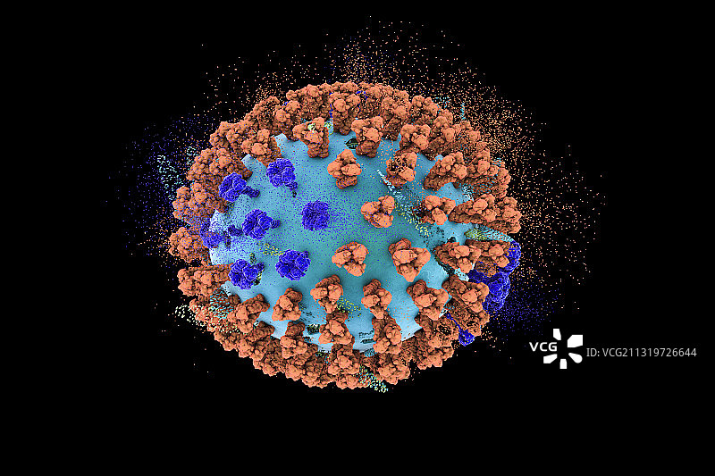 禽流感病毒破坏示意图图片素材