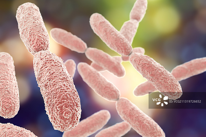 肺炎克雷伯菌细菌，图示图片素材