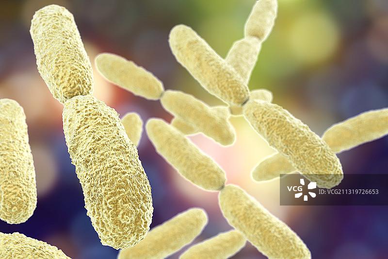 肺炎克雷伯菌细菌，图示图片素材