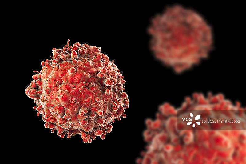 白血病血细胞插图图片素材