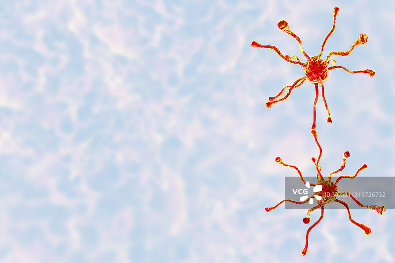 人脑神经细胞图示图片素材
