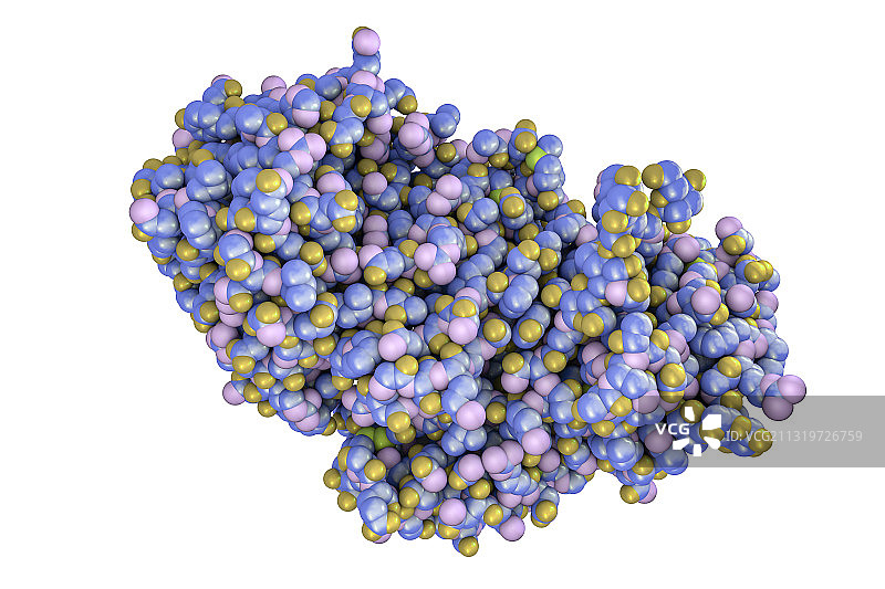 蓖麻毒素分子图片素材