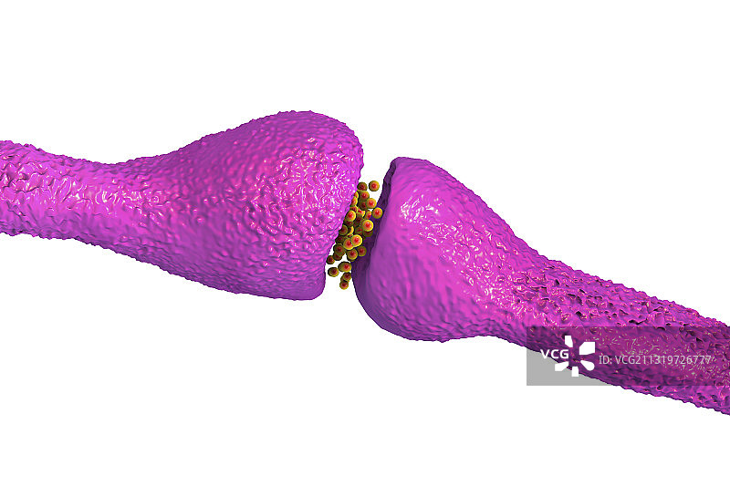 神经突触示意图图片素材
