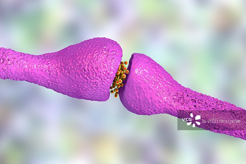 神经突触示意图图片素材