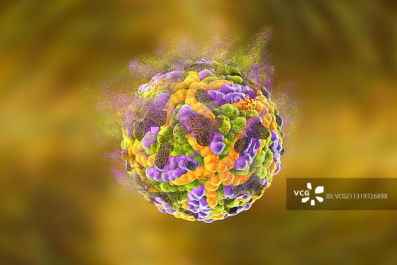 寨卡病毒破坏示意图图片素材