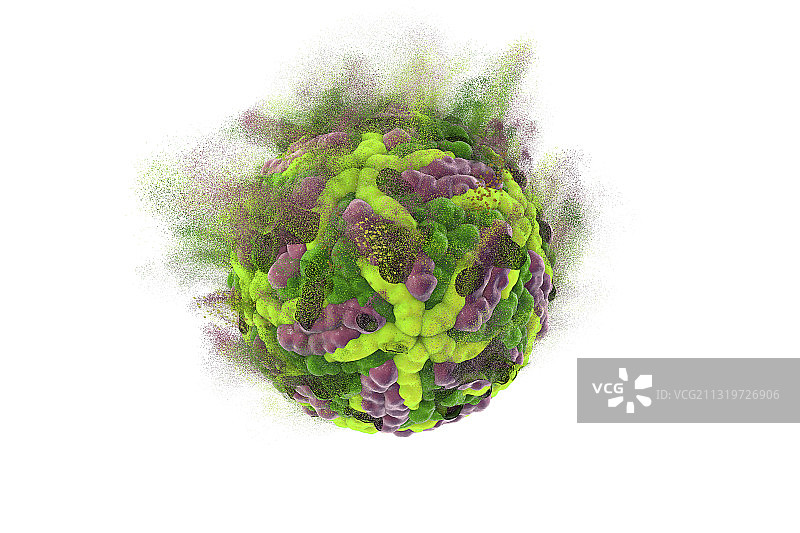 寨卡病毒破坏示意图图片素材