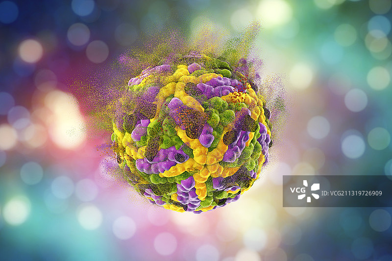 寨卡病毒破坏示意图图片素材